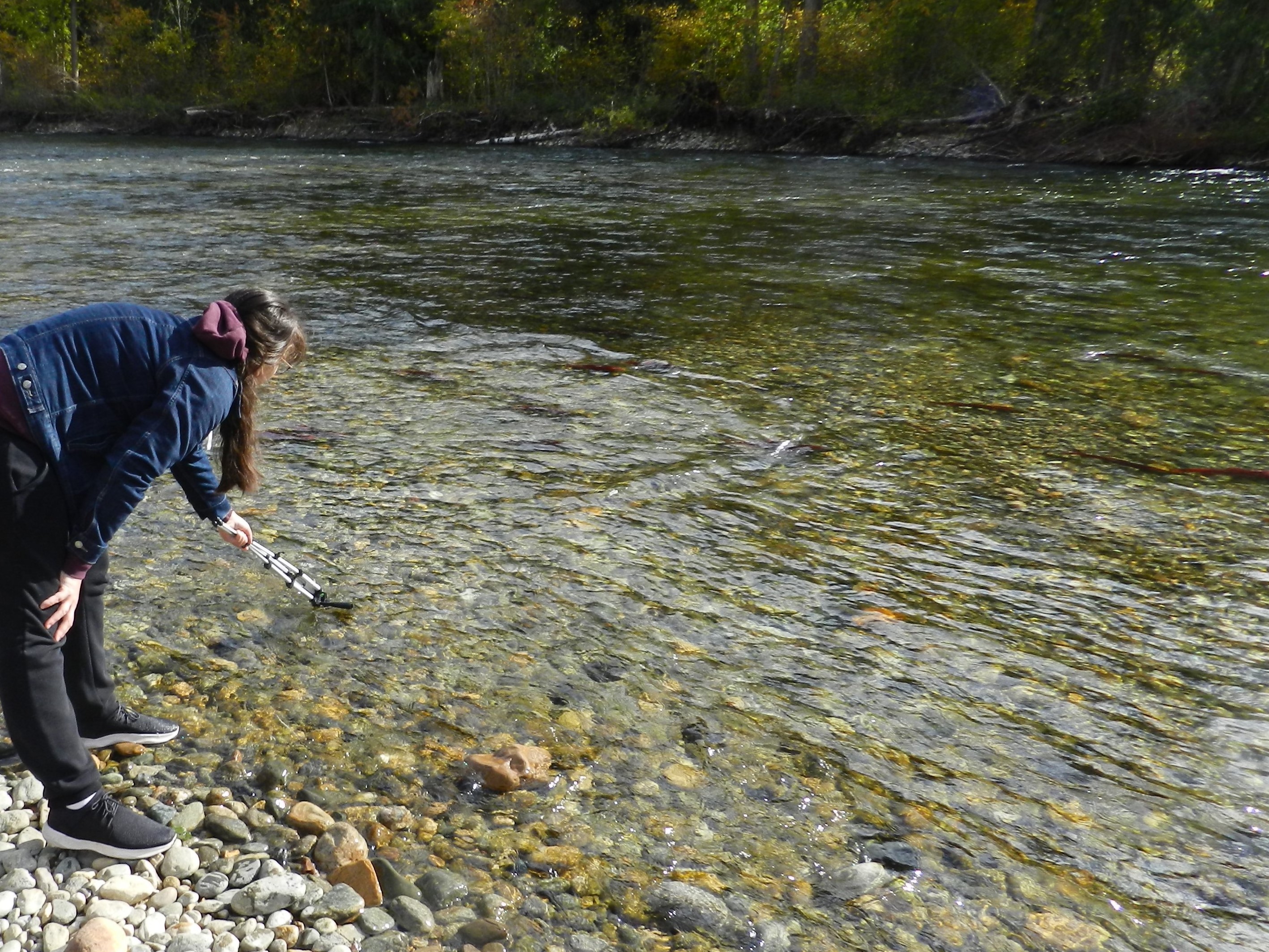 Filming at the Island Loop